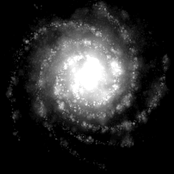 Milky Way
